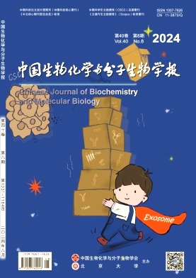 中国生物化学与分子生物学报封面